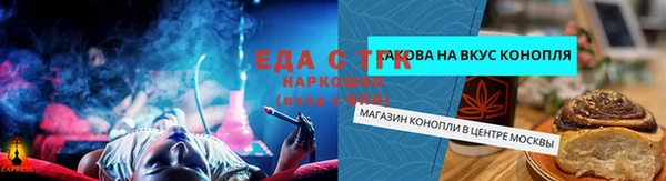 ECSTASY Белокуриха