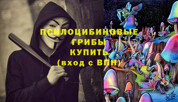 ECSTASY Белокуриха