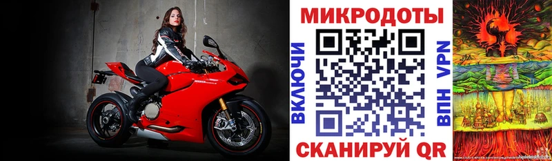 блэк спрут ССЫЛКА  как найти   Невельск  Галлюциногенные грибы прущие грибы 